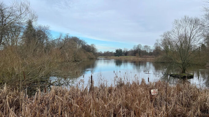 Beauty Spot Trees Cut Cutting down of beauty spot trees set for approval