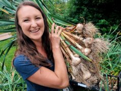 Homesteader Grows Own Food For Healthier Life Minnesota homesteader grows food, says it's led to healthier lifestyle
