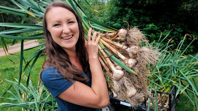 Minnesota homesteader grows food, says it's led to healthier lifestyle