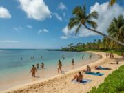 Madeira Uncovered: Europe’s Hidden Gem Tops Travel Lists Madeira tops hawaii: 2026’s most sought-after destination is europe’s best-kept secret—see why!