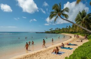 Madeira Uncovered: Europe’s Hidden Gem Tops Travel Lists Madeira tops hawaii: 2026’s most sought-after destination is europe’s best-kept secret—see why!